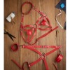 Boyunluklu Kırmızı Kelepçeli Harness Set